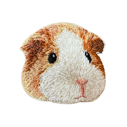 Guinea Pig