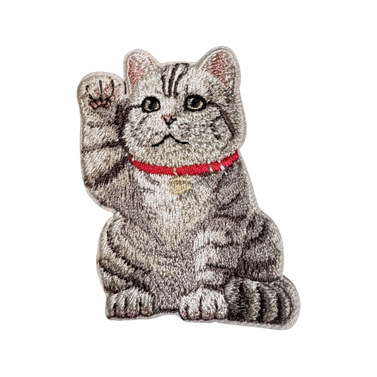 Lucky American Shorthair Cat