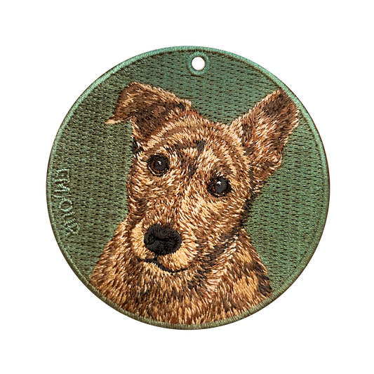 Tabby Dog/Brindle Dog