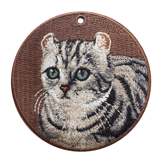 American Curl Shorthair