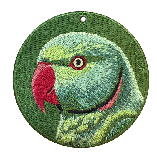 Ring-necked Parakeet
