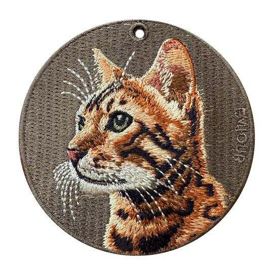 Bengal Cat