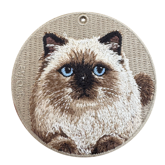 Himalayan Cat