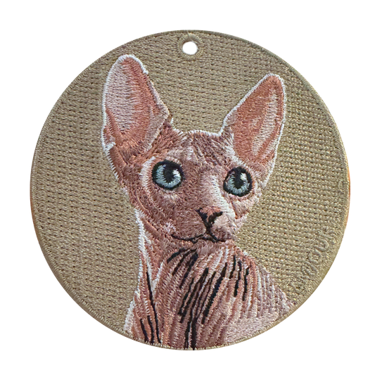 Sphynx Cat