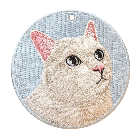 White Cat/Light Blue