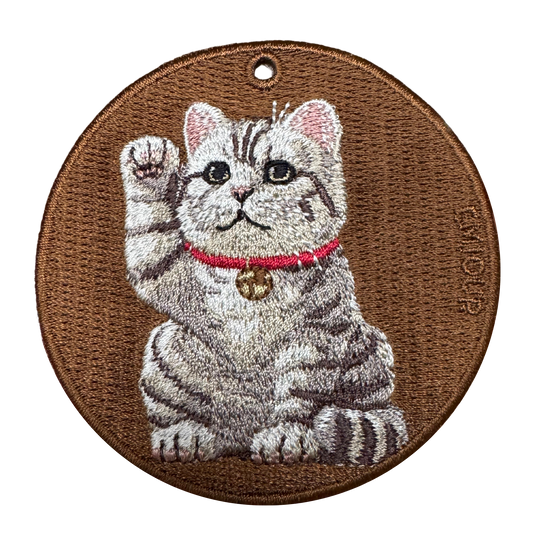 Lucky American Shorthair