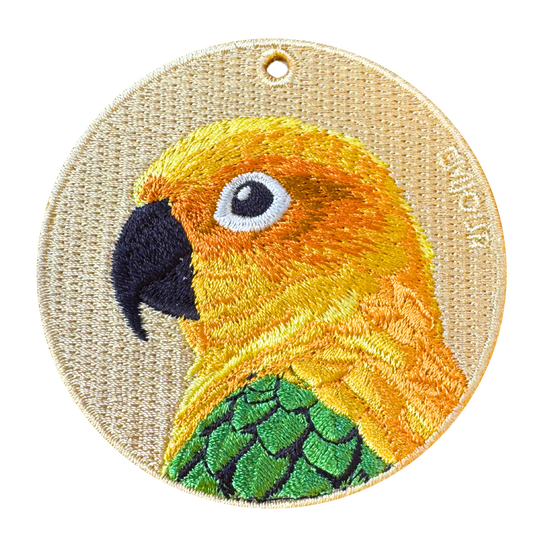 Sun Conure