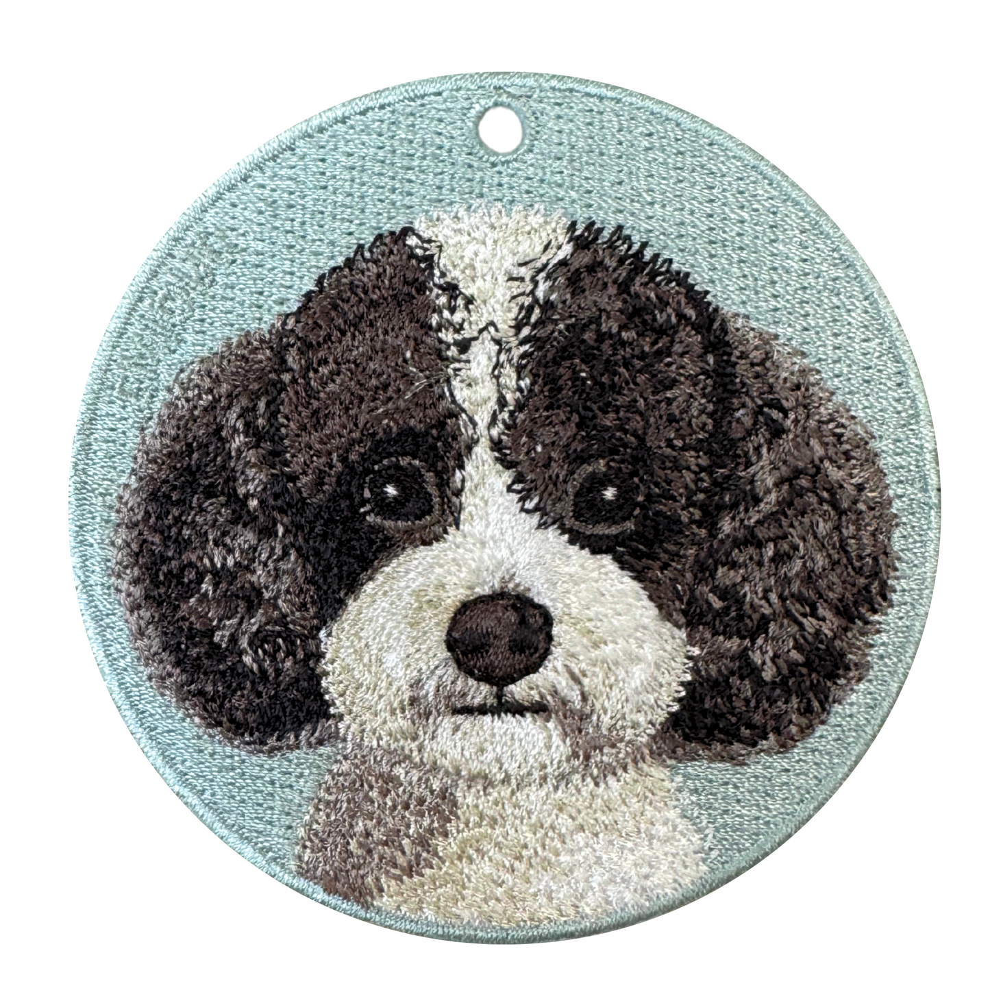 Black & White Toy Poodle