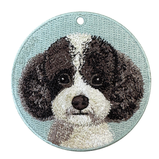 Black & White Toy Poodle