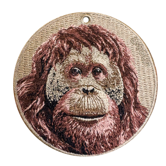 Orangutan