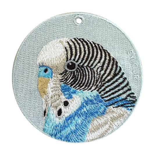 Blue Budgerigar