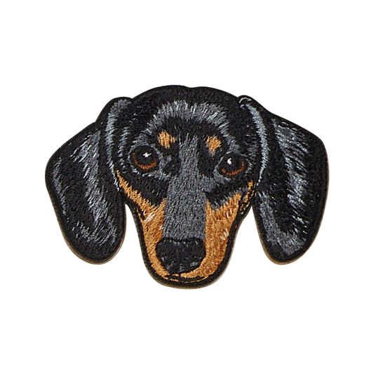 Black Dachshund