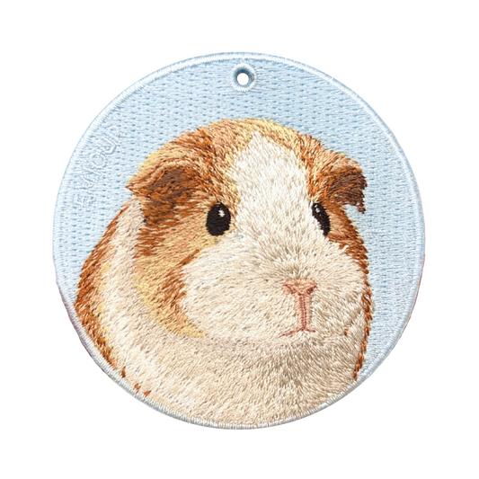 Guinea pig