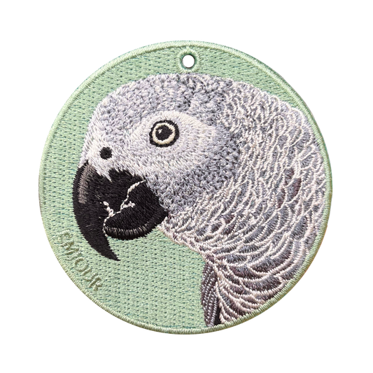 African grey parrot