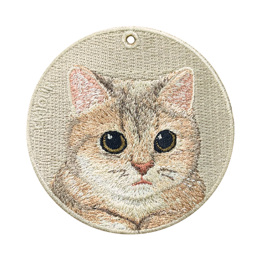 Blue&Gold Graded British Short-haired Cat