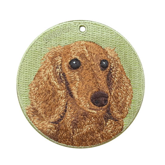 Dachshund BR