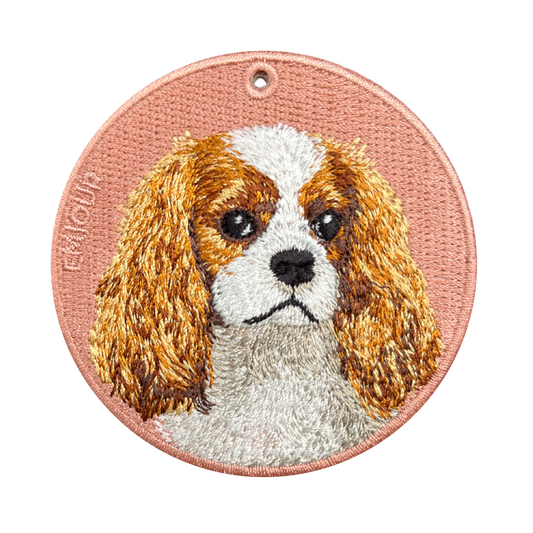 Cavalier King Charles Spaniel