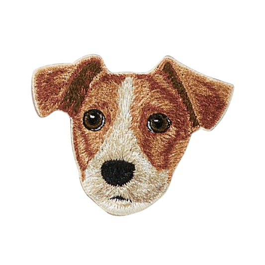 Jack Russell Terrier
