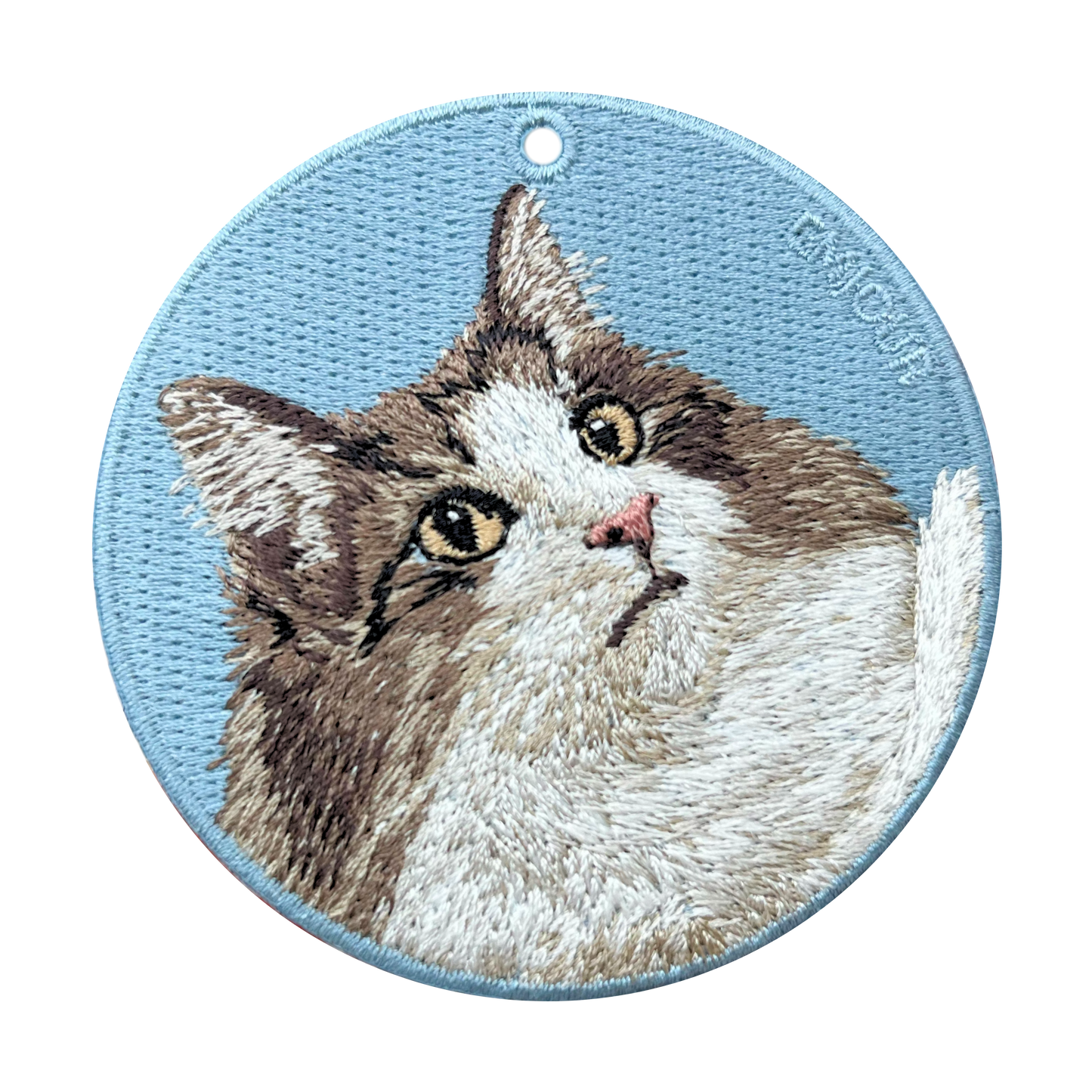 Norwegian Forest Cat