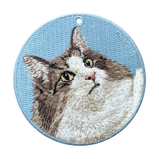 Norwegian Forest Cat