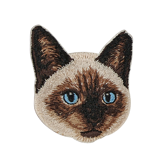 Siamese Cat