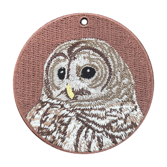 Tawny Owl