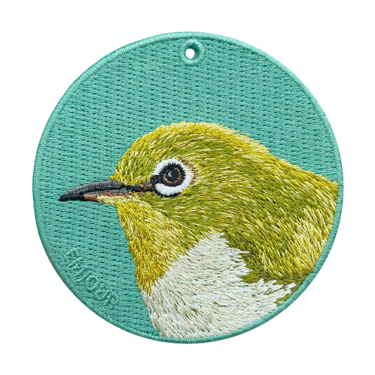 Warbling White-eye