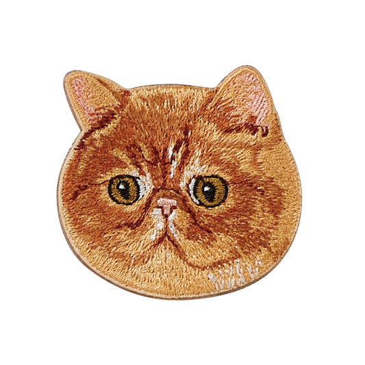 Garfield Cat
