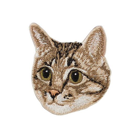 Tabby Cat