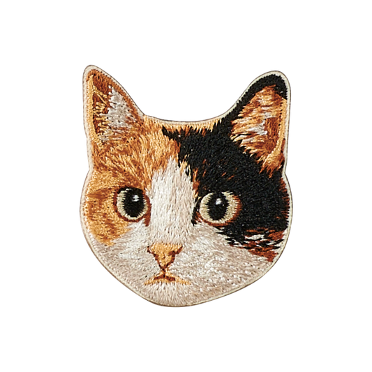 Calico Cat