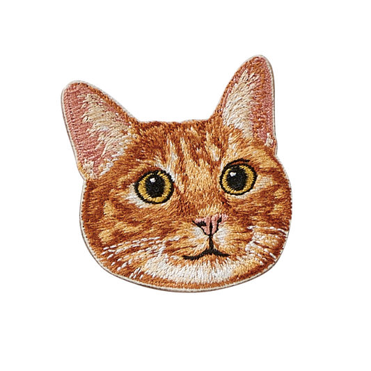 Orange Tabby Cat