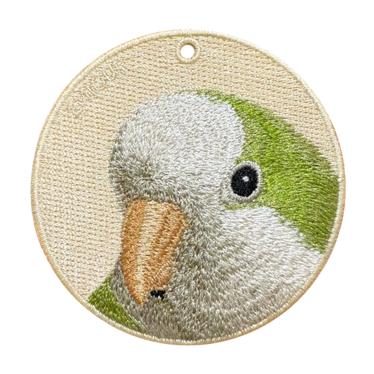 Green Monk Parakeet