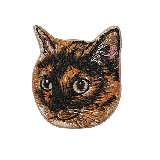 Tortoiseshell Cat