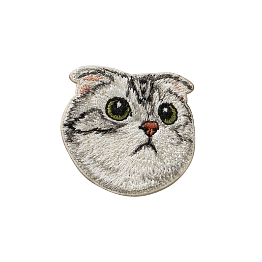 American Fold Shorthair Cat