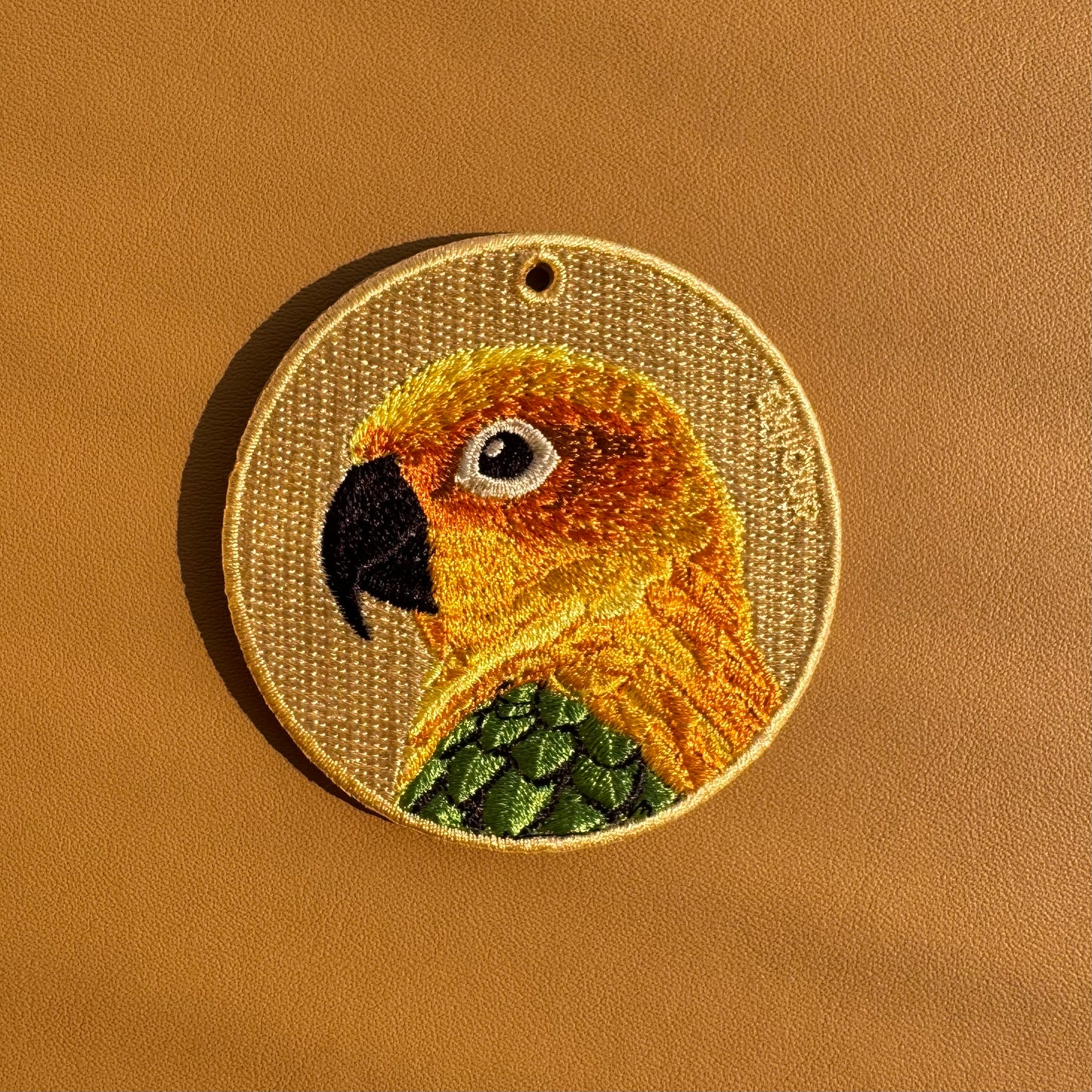 Sun Conure