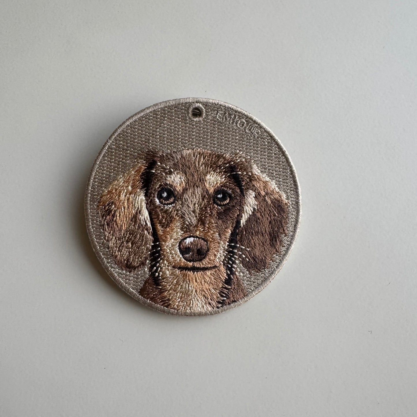 Chocolate Long-Haired Dachshund