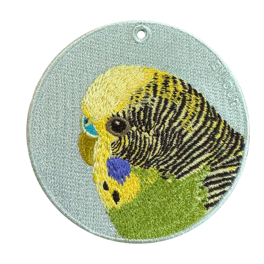 Green Budgerigar