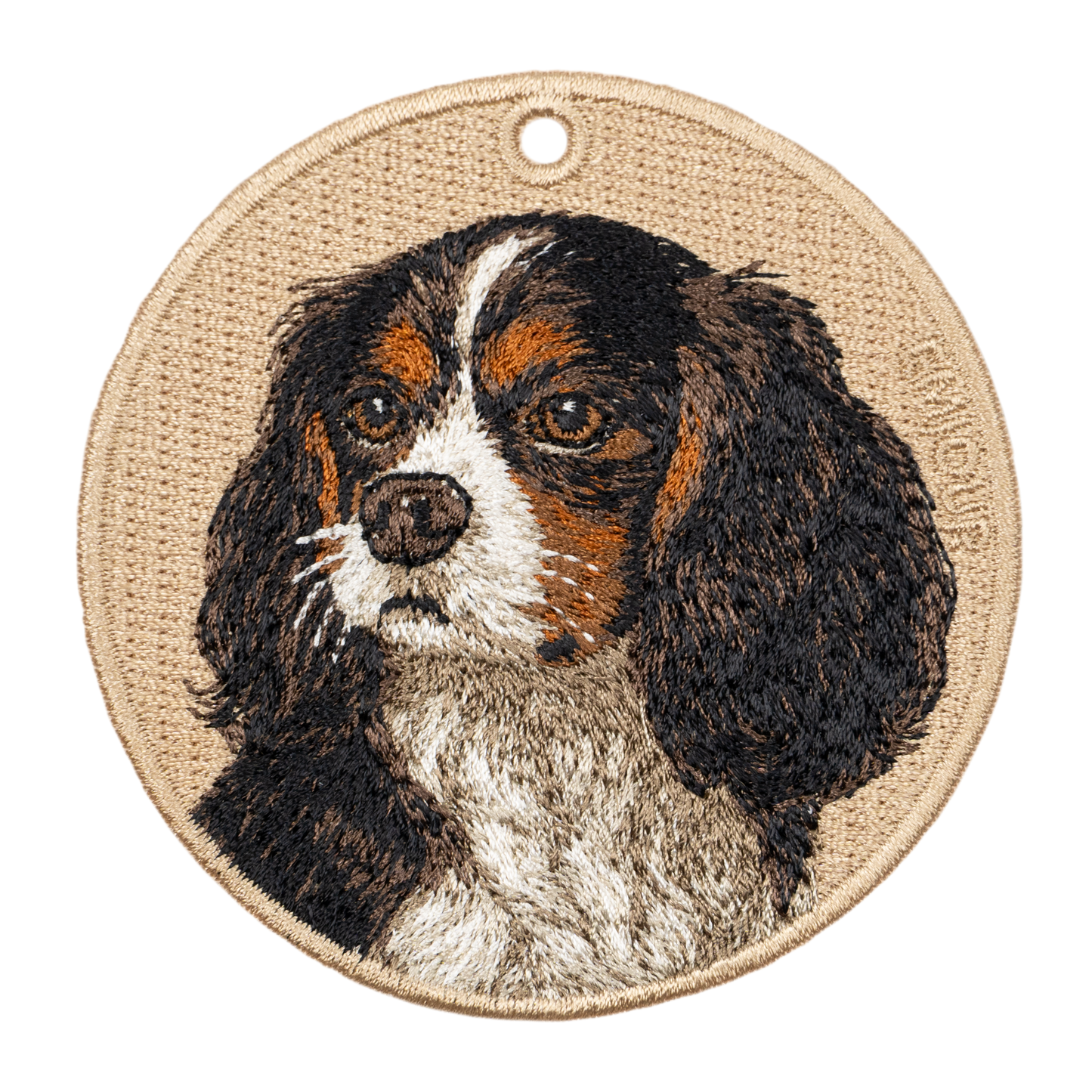 Cavalier King Charles Spaniel Tricolor