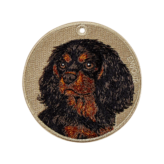 Black Cavalier King Charles Spaniel