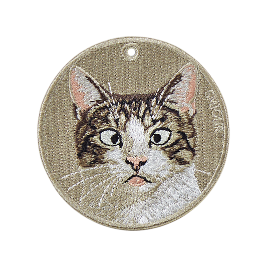 White Tabby Cat-Funny Face Pose