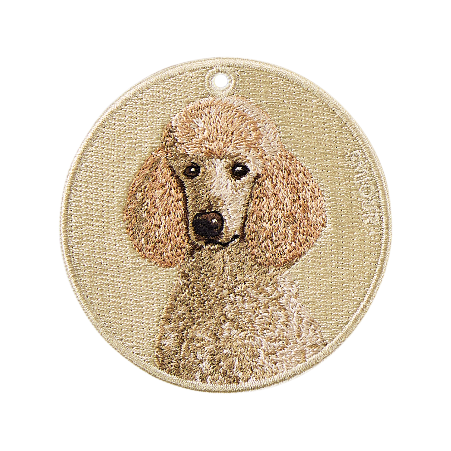 Standard Poodle