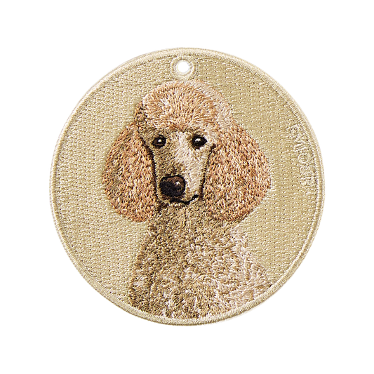 Standard Poodle