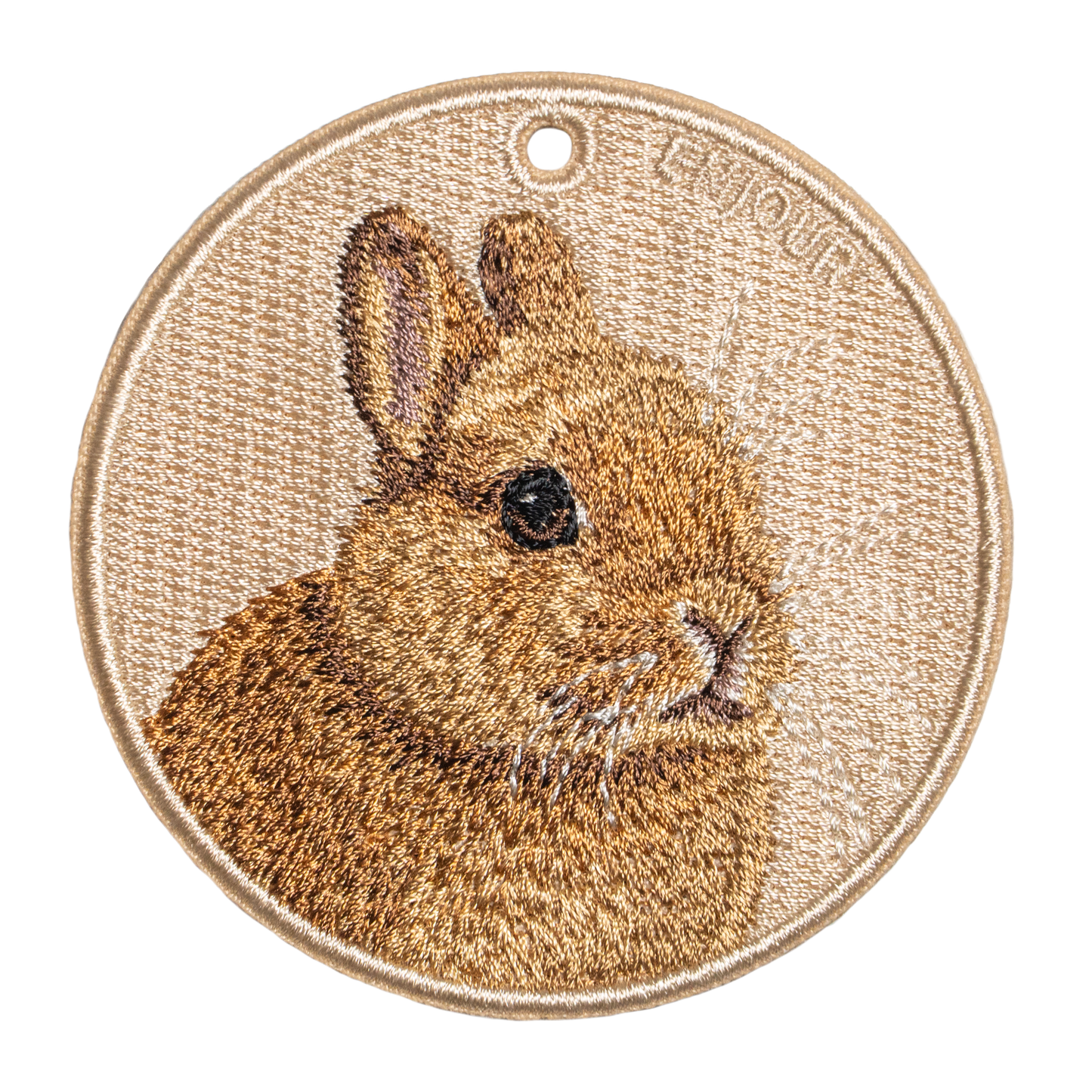 棕橘荷蘭垂耳兔