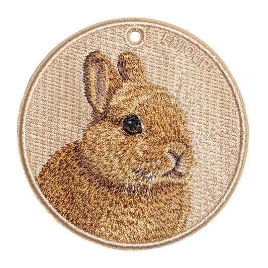 Brown Netherland Dwarf Rabbit