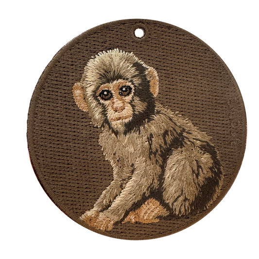 Baby Monkey