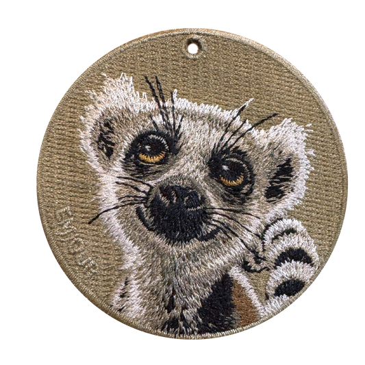 Ring-tailed Lemur