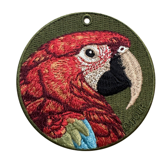 Scarlet Macaw