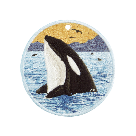 Killer Whale/Orca