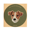 Jack Russell Terrier