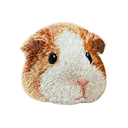 Guinea Pig